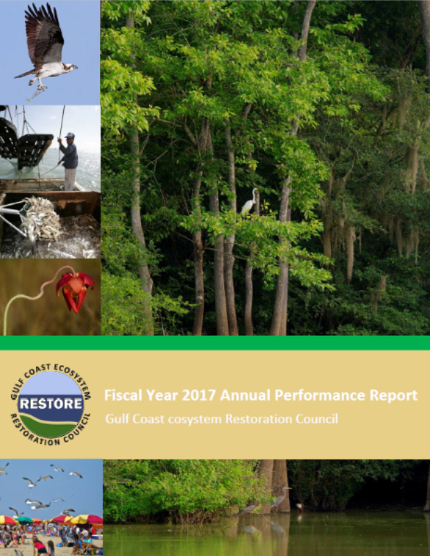 Cover of Fiscal Year 2017 Annual Performance Report