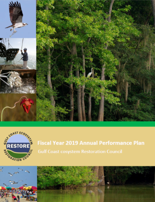 Cover Fiscal Year 2019 Annual Performance Plan