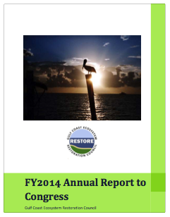FY2014 Report to Congress Cover Image