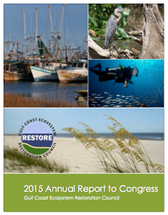 2015 Report to Congress Cover Image