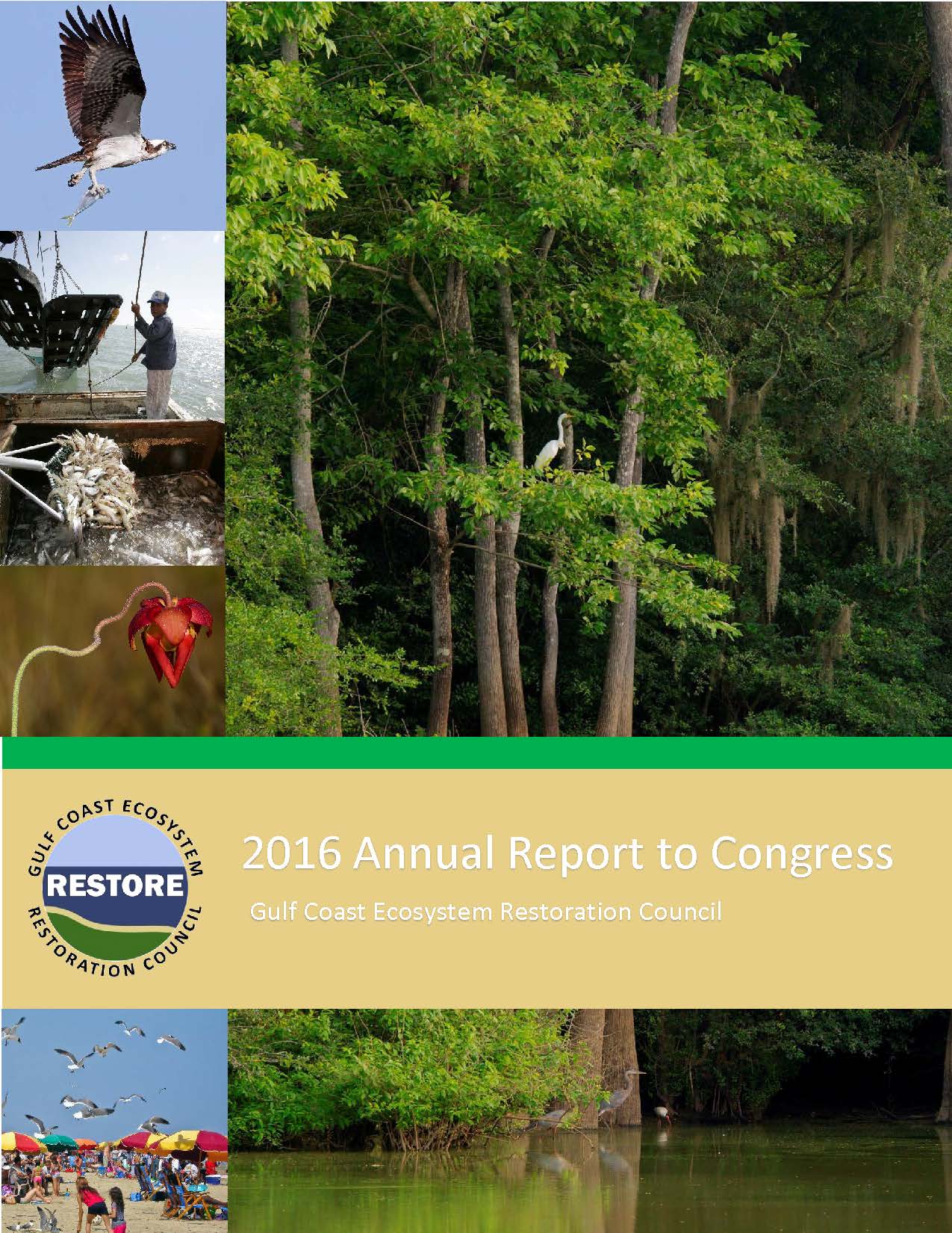 Cover of 2016 Annual Report